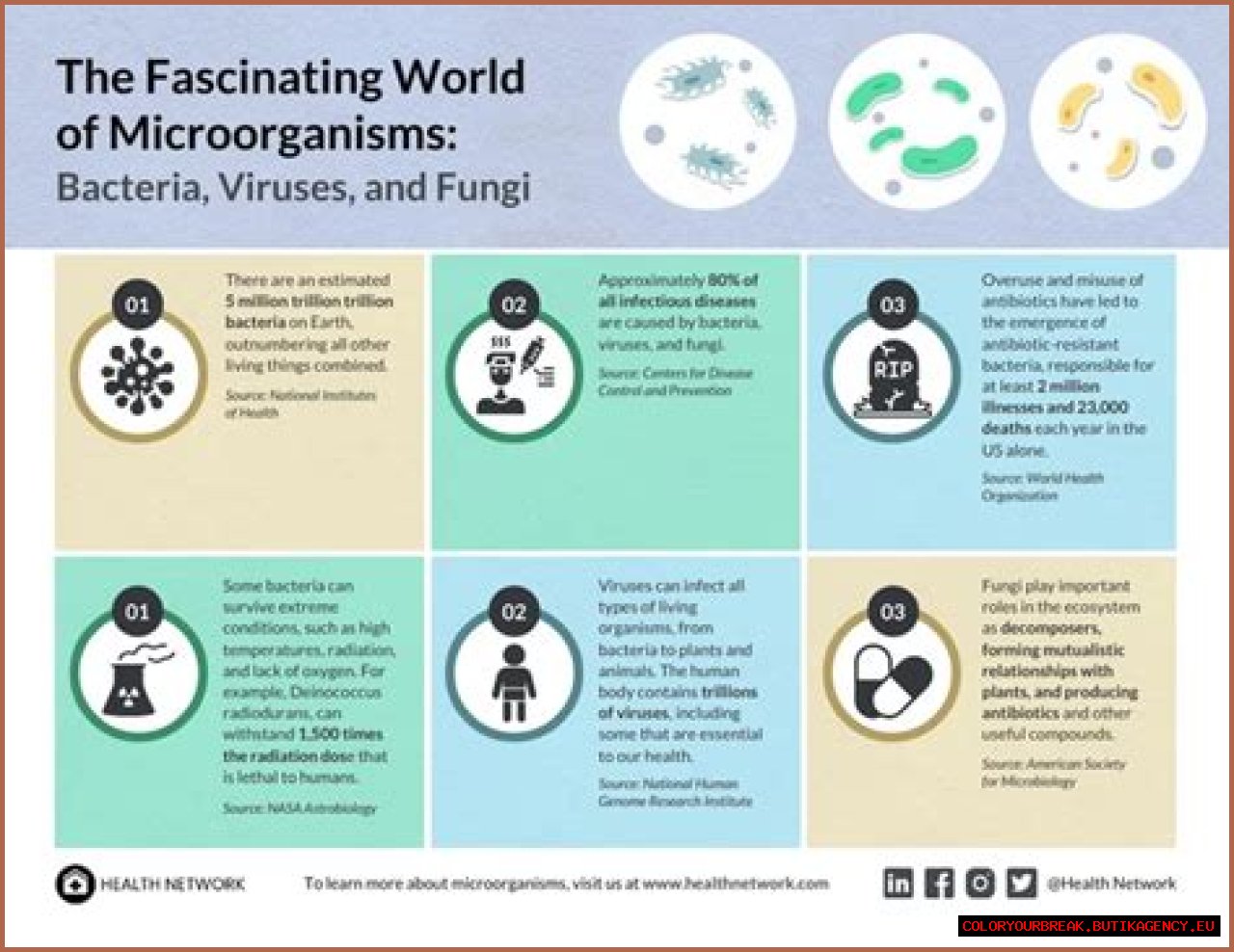 Exploring The Fascinating World Of Norma Strait Pictures