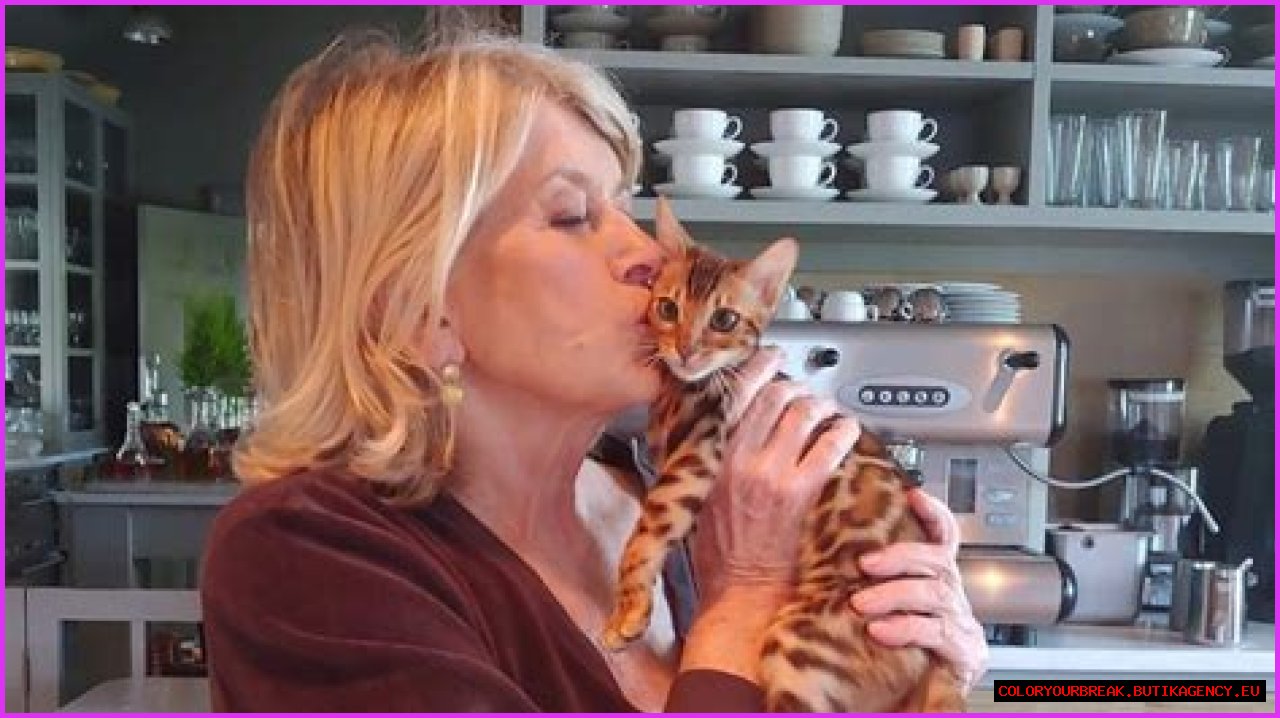 Martha Stewart's Feline Friends: A Deep Dive Into Her Affection For Cats